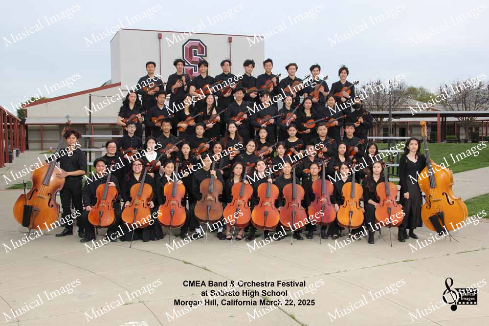 Musical Images